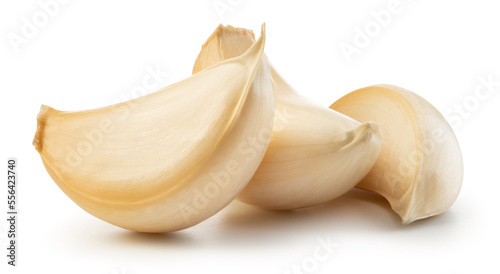 Garlic cloves on white background. Garlic clove isolated. Unpeeled white garlic cloves with clipping path. Full depth of field.