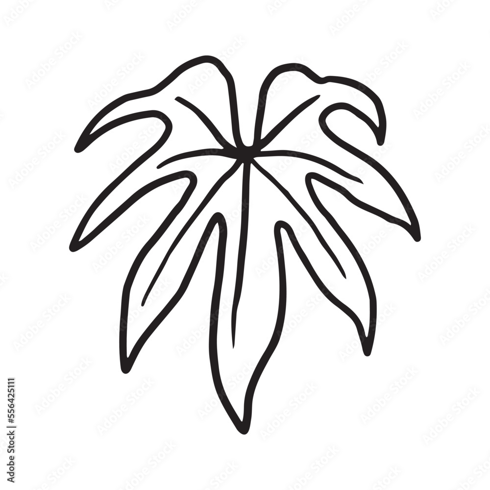 Tropical Plant leaf Doodle icon