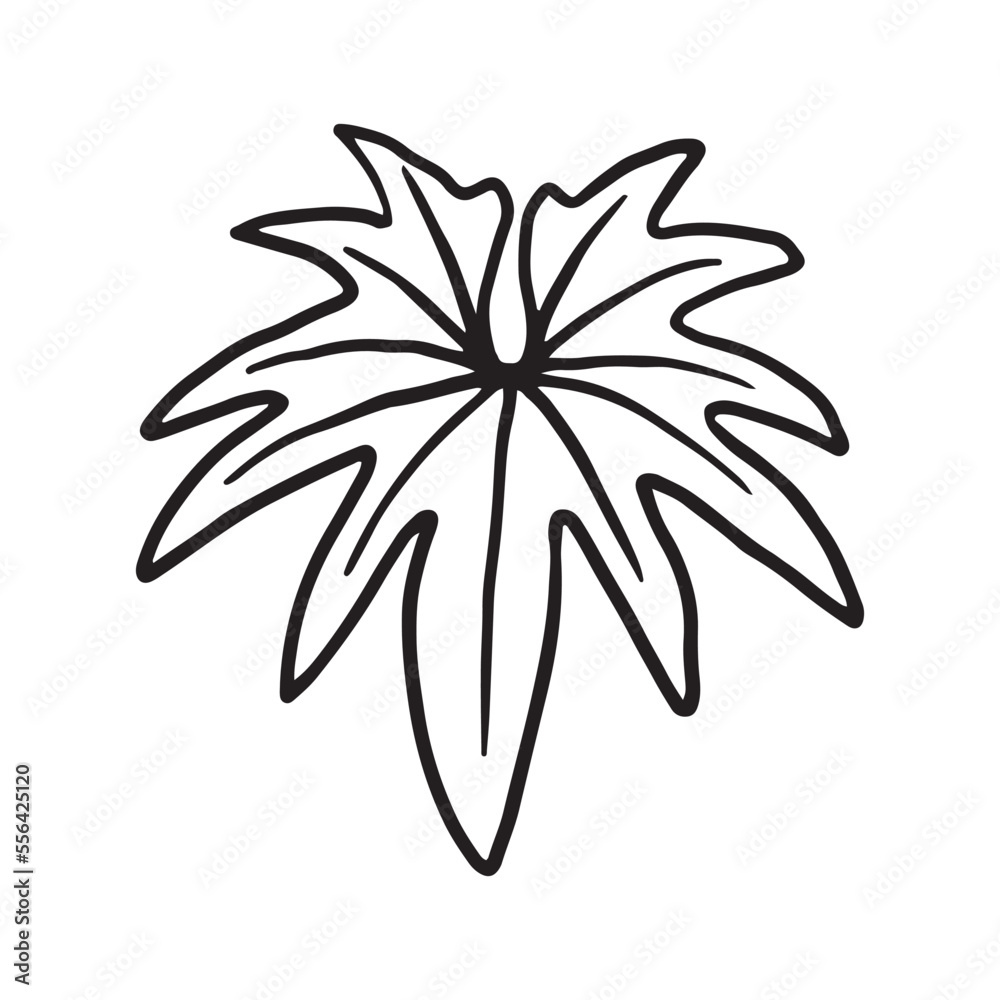 Tropical Plant leaf Doodle icon Tropical Plant leaf Doodle icon