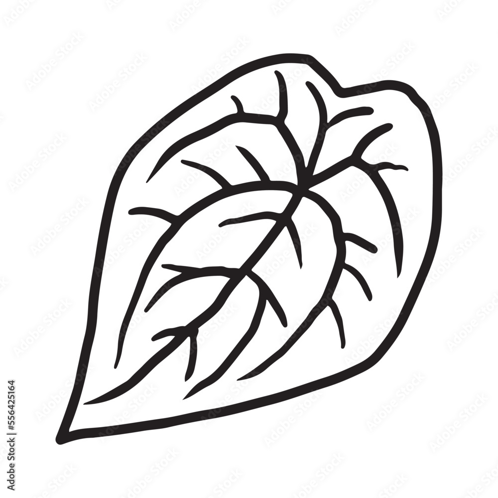 Tropical Plant leaf Doodle icon Tropical Plant leaf Doodle icon