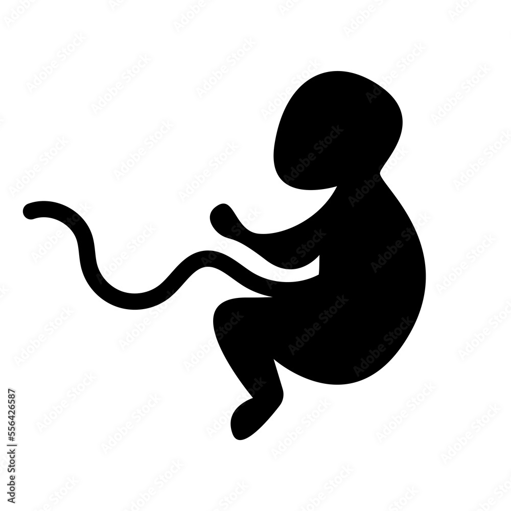Silhouette of embryo child. Vector illustration Silhouette of embryo child. Vector illustration