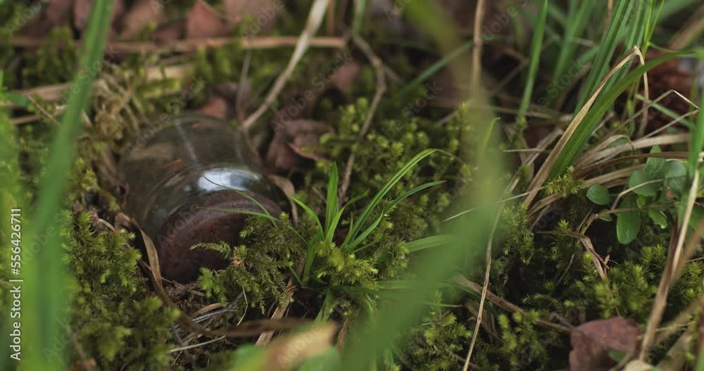 Glass garbage is lying on the ground in the forest. Glass garbage is lying on the ground in the forest.