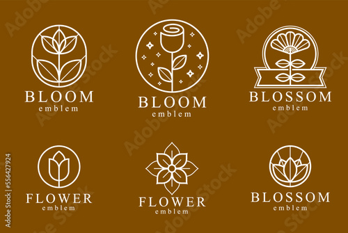 Geometric linear style vector flower logos or emblems set, sacred geometry floral symbols line drawing emblems collection, blossoming flower hotel or boutique or jewelry logotypes. photo