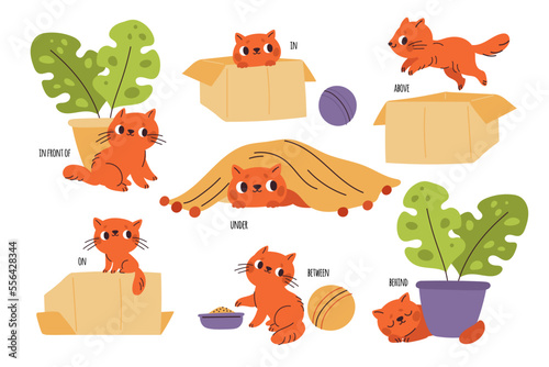 Learning prepositions with cat. Kids language education. Cartoon pet character. Different actions. Kitten under or behind object. Game method. Language vocabulary. Garish vector set photo