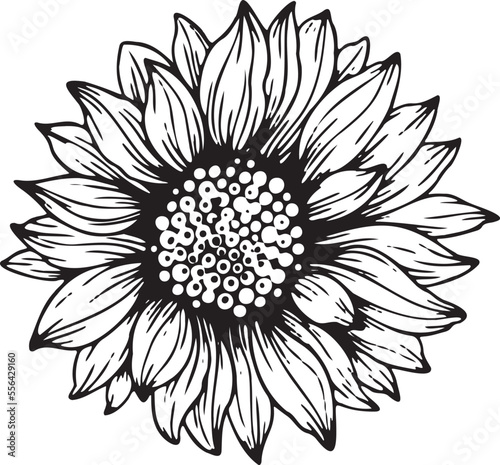 Linear sunflower flower. Hand drawn illustration. This art is perfect for invitation cards  spring and summer decor  greeting cards  posters  scrapbooking  print  etc.