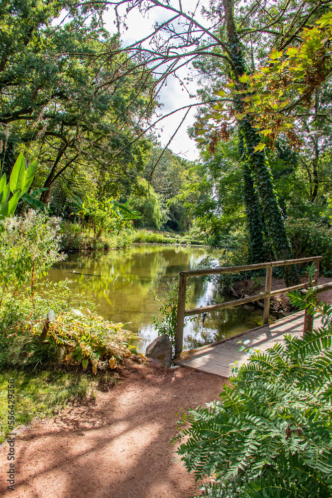 Obraz premium Pont en bois au bord de l’étang 