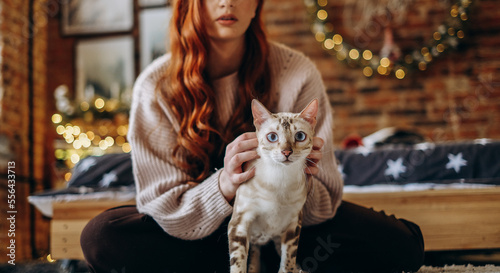 A young woman is playing with her bengal cat in the room. The house is decorated with Christmas decor.