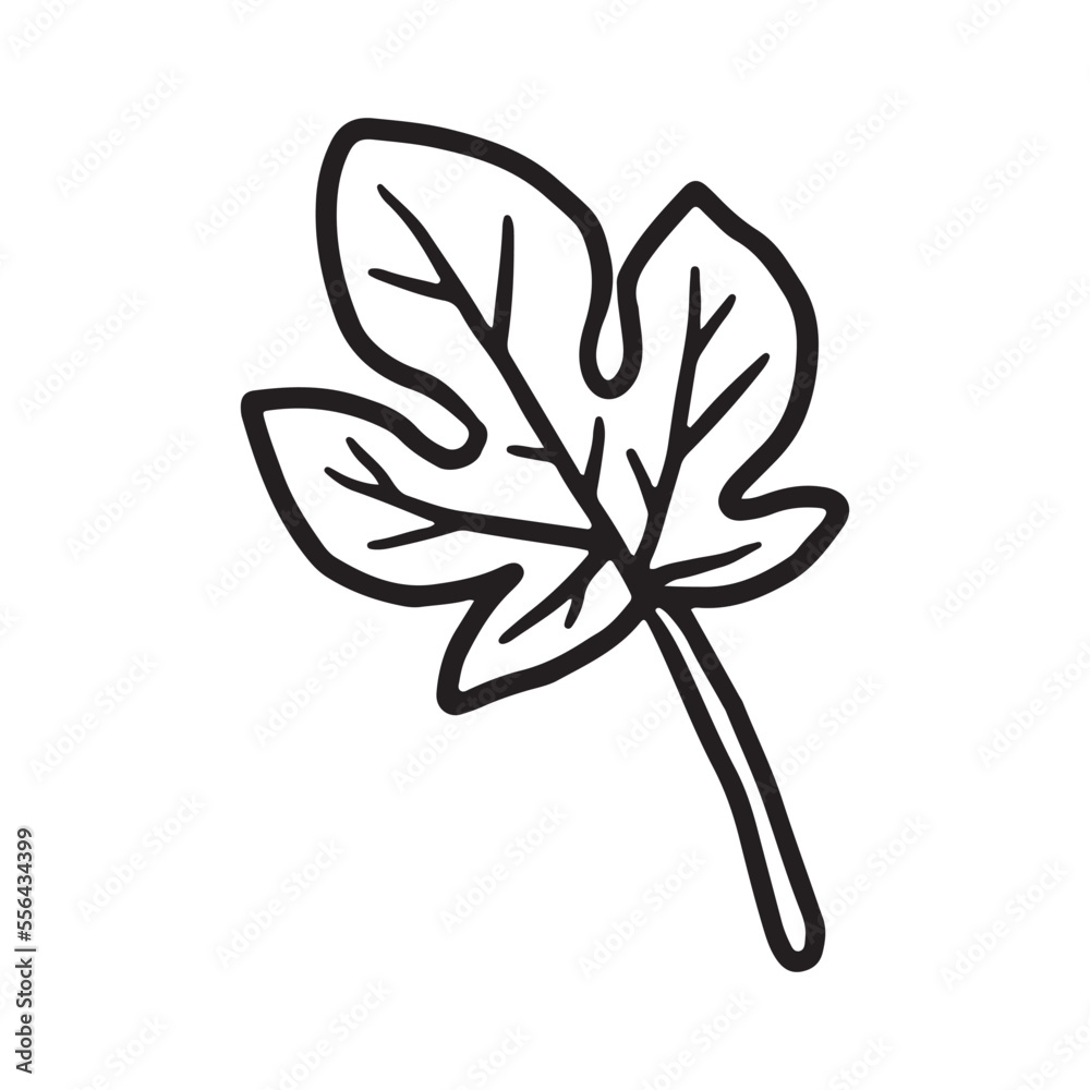 Dry autumn leaf Doodle icon Dry autumn leaf Doodle icon