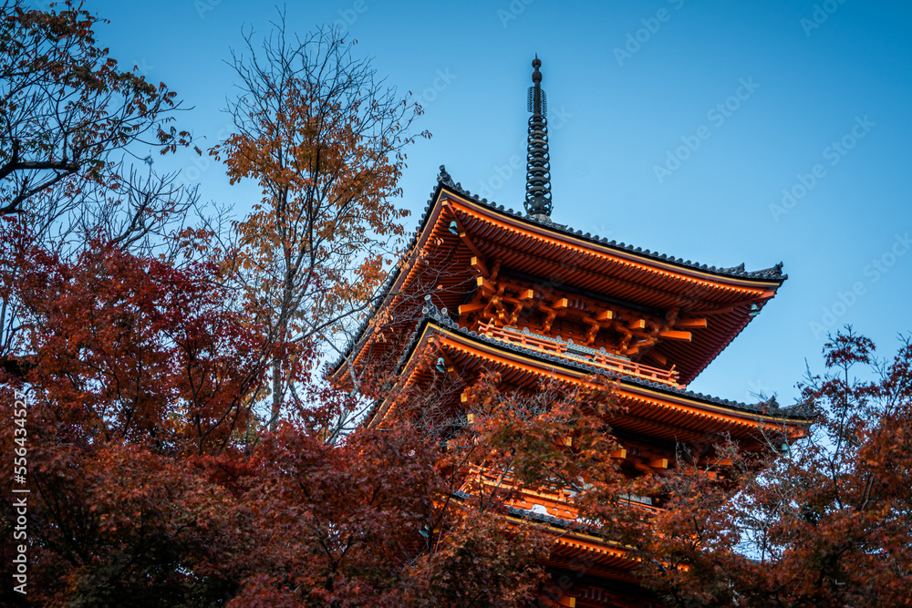 Red Chureito japanese pagoda stand against in autumn season Red Chureito japanese pagoda stand against in autumn season