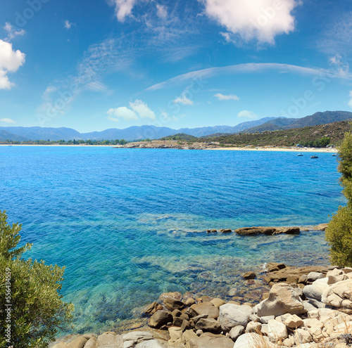 Summer sea coast  Halkidiki  Greece .