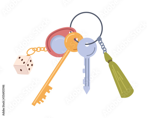 Keyring loss protection, real estate house pocket keys, real estate property rent and sale concept. Vector illustration of keyholder keyrings, key for apartment, unlock object