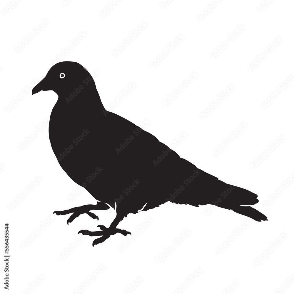 Dove vector animal black silhouette. Dove vector animal black silhouette.