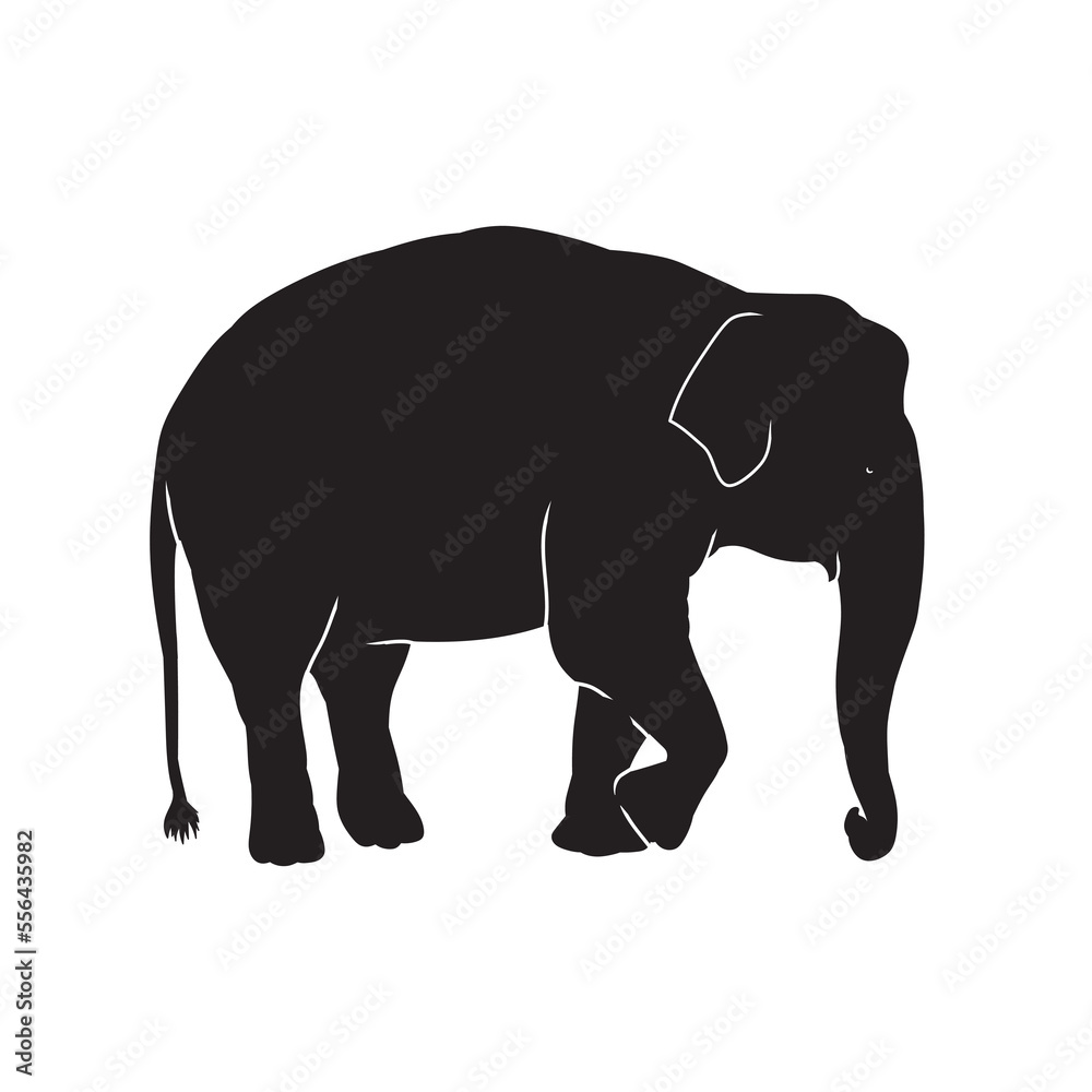 Elephant vector animal black silhouette. Elephant vector animal black silhouette.