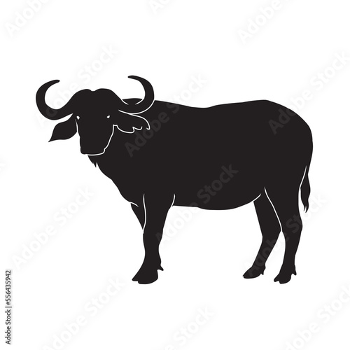 Silhouette of realistic african buffalo in isolate on a white background. Vector illustration