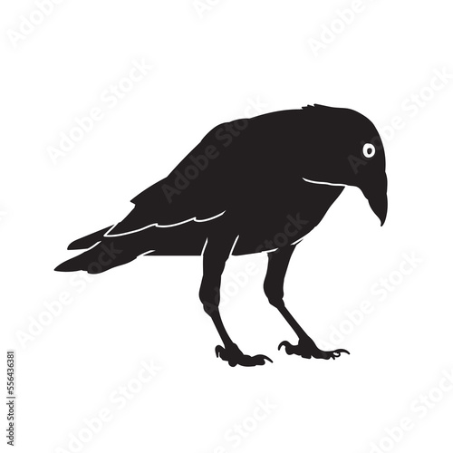 Crow raven bird vector animal black silhouette.