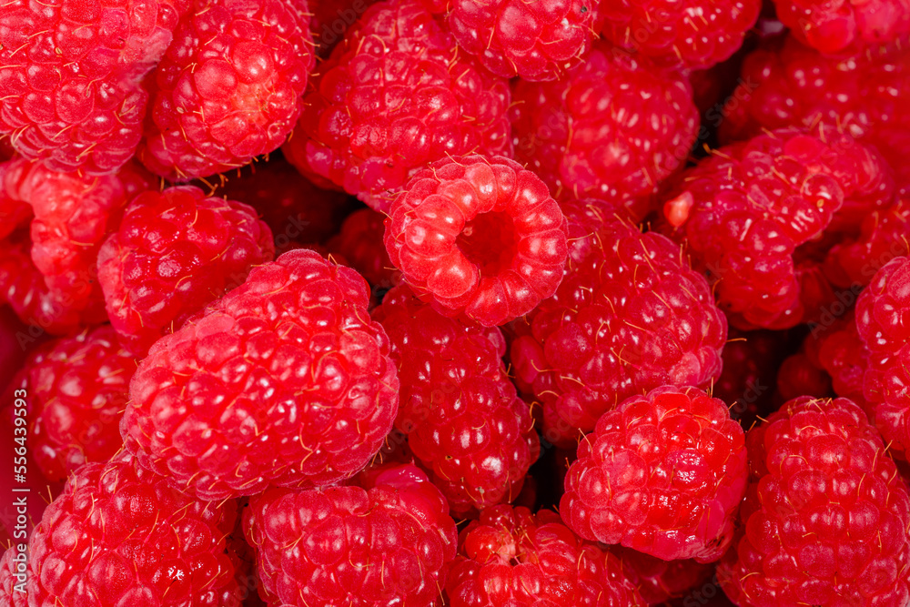 Close up of red raspberries on white background Close up of red raspberries on white background