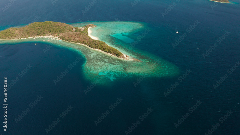 aerial view sandy beach on tropical island with palm trees and clear blue water. Malcapuya, Philippines, Palawan. Tropical landscape with blue lagoon, coral reef