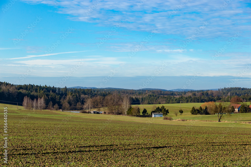 Snowless winter in Europe. Green fields.