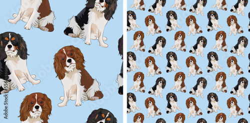 Pattern design with cavalier king charles spaniels, seamless pattern. Repeatable textile, wrapping paper, blue background graphic design. Christmas and birthday wallpaper, funny dogs, flat style.