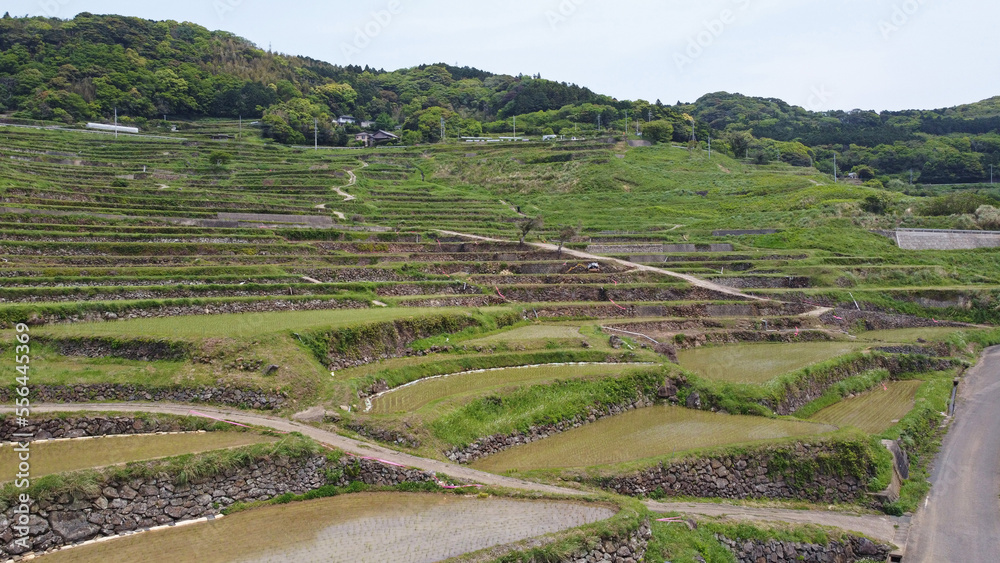 水が張られた土谷棚田・ドローン撮影 水が張られた土谷棚田・ドローン撮影
