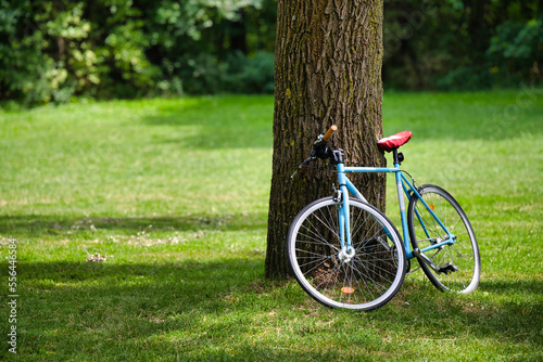 bike in the park outside, leather, hipster, saddle, style, scene, cycling, leaned, put down, recreation, activity, rest, excursion, vacation, roadside, outdoors, sunlight athletic, move, tire, job, 