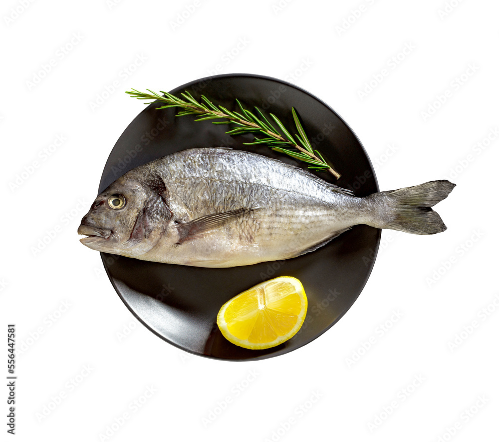 Dorado, raw fresh uncooked fish, lemon, rosemary, isolated on white background with clipping path