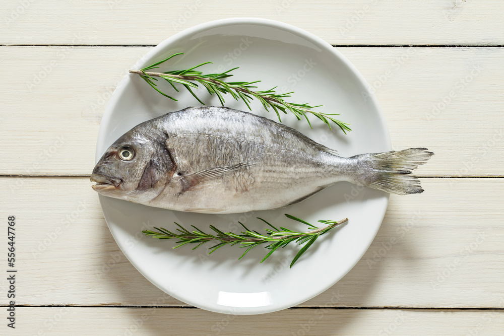 Dorado, raw fresh uncooked fish, rosemary, on plate, on white wooden board background, top view, space to copy text, full depth of field. Dorado, raw fresh uncooked fish, rosemary, on plate, on white wooden board background, top view, space to copy text, full depth of field.