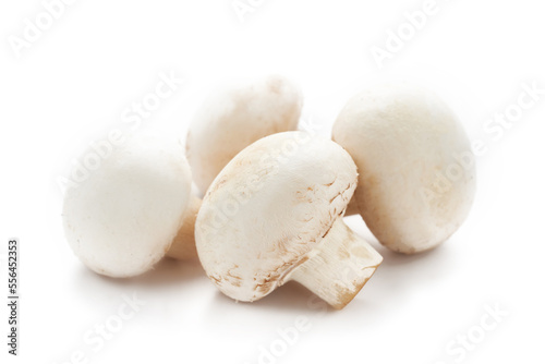 white champignon button mushroom isolated on white background. pile of white champignon button mushroom. group of champignon button mushroom isolated                        
