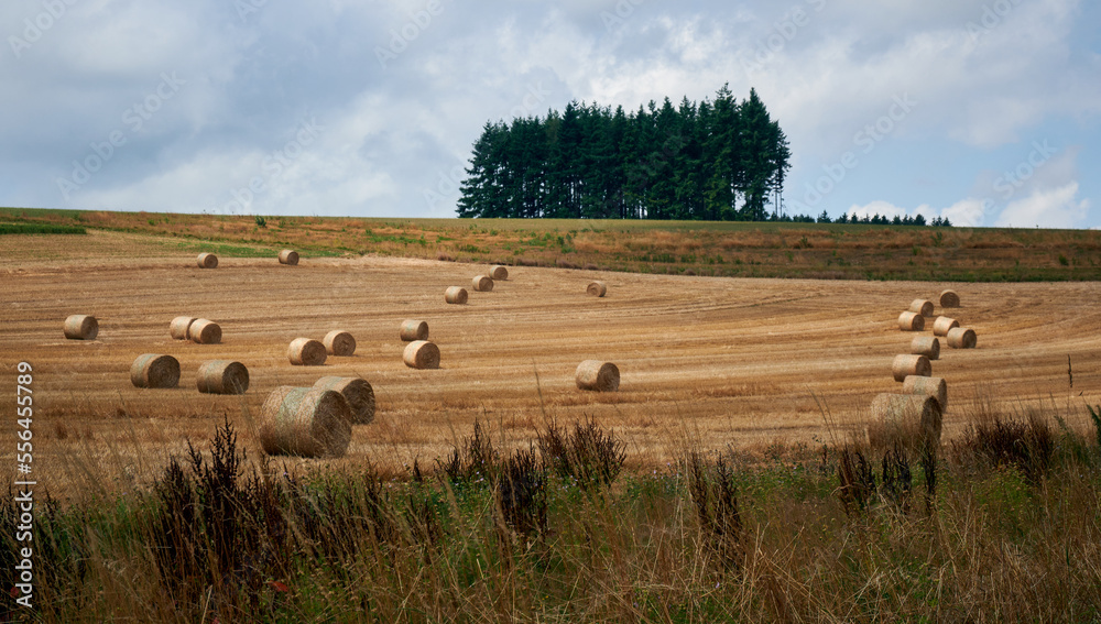 A beautiful view of hay bales in a field with dry grass under the cloudy sky