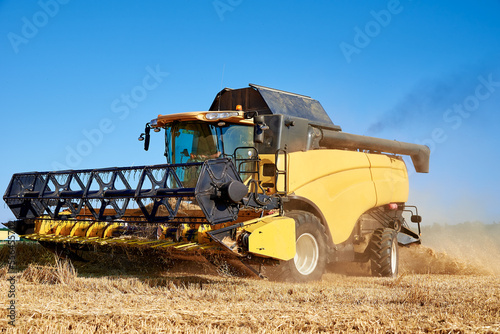 Combine harvester harvesting golden wheat field  harvester working in an agricultural field  harvest season