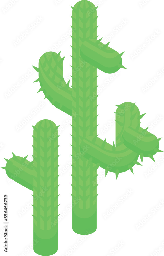 Chile green cactus icon isometric vector. Country travel. Costume emblem Chile green cactus icon isometric vector. Country travel. Costume emblem