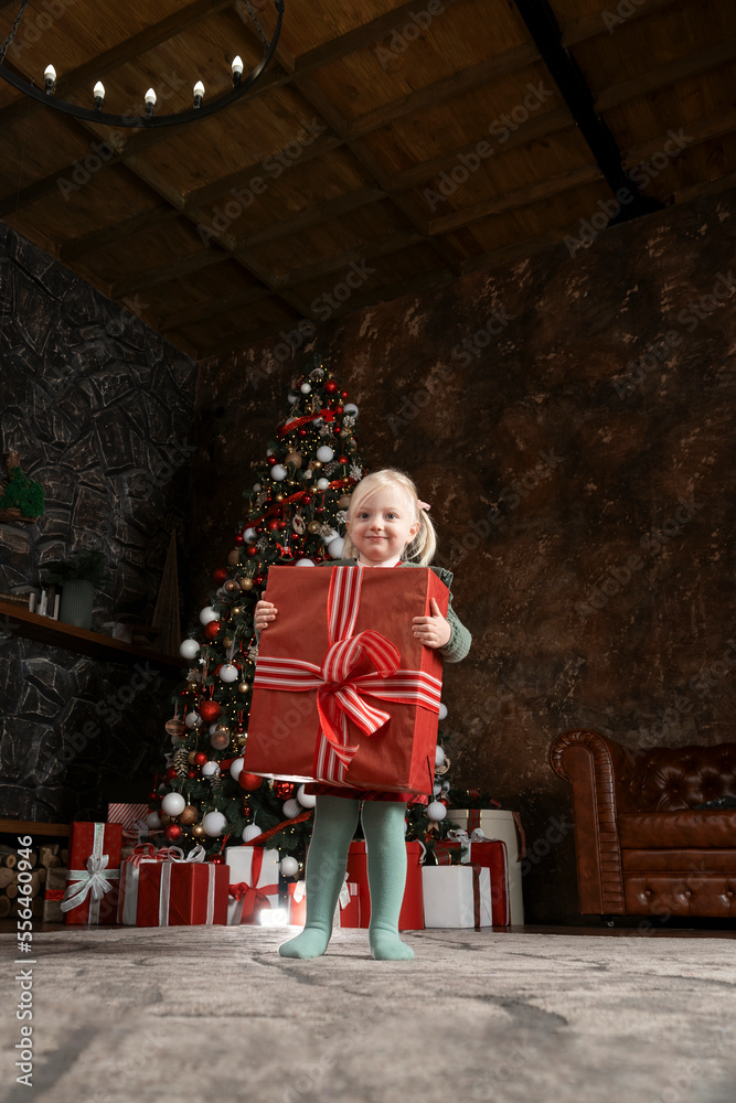 Obraz premium Little girl with big gift on xmas tree background. Cute blonde child girl with huge red gifts box.