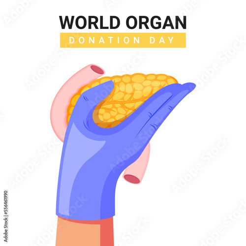 Human thymus medical illustration and vector design for world organ donation day