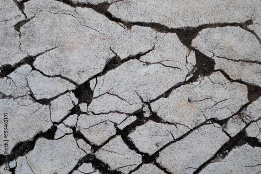 Obraz premium cracks on old road surface