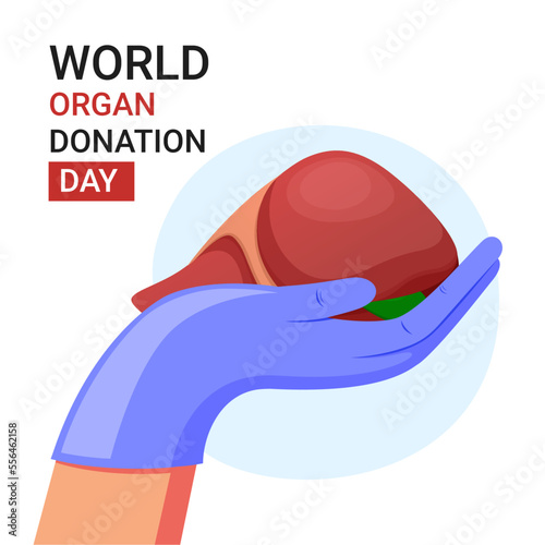 World organ donation day, medical hand and liver illustration