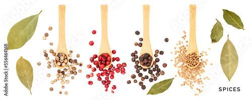 Peppercorn, bay leaf and mustard seeds set. PNG with transparent background. Flat lay. Without shadow.