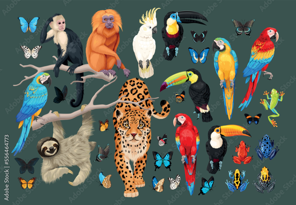 Big vector set of tropical animals and birds - obrazy, fototapety, plakaty 