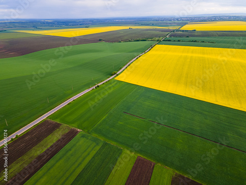 Splendid summer scene of green rural land and cultivated fields. Location place of Ukraine, Europe. Drone photo. Top view, aerial photography. Vibrant photo wallpaper. Discover the beauty of earth. 