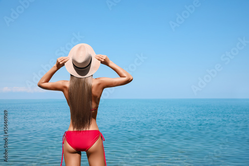 Sexy young woman in stylish bikini and straw hat on seashore, back view. Space for text