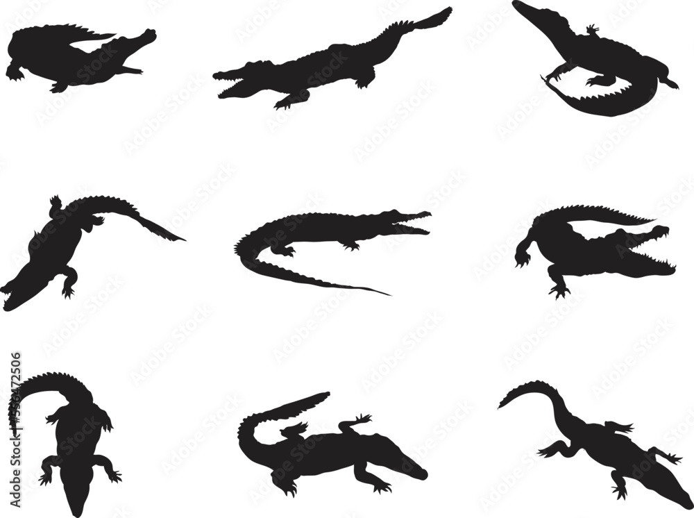 Fototapeta premium A vector collection of crocodiles