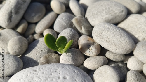 Photography South Africa - Pile of pebbles