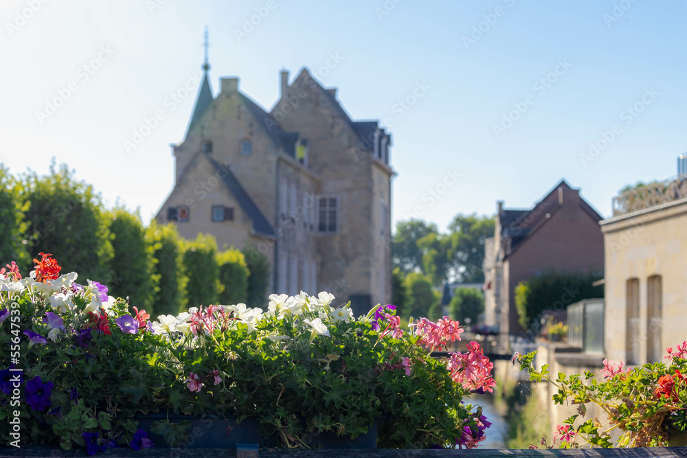 Petunia flowers on canal bridge with blurred of architecture ...