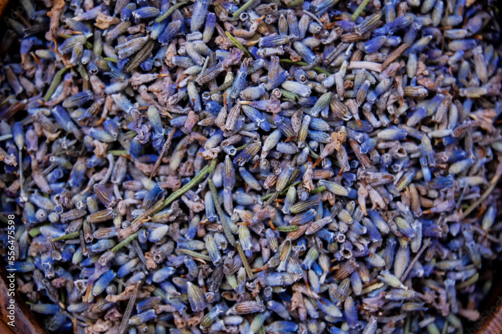 Macro photo of dried lavender herb flowers. Macro photo of dried lavender herb flowers.