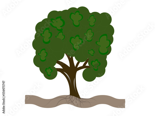 Tree Vector Art  Icons  and Graphics for Illustrations Free Download Tree wood Images  Free Vectors  Stock Photos and s vg icon vector design illustration and graphic. 