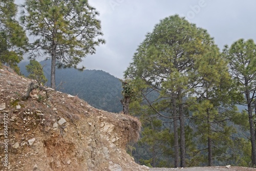 beautiful landscape with clouds in uttrakhand, india