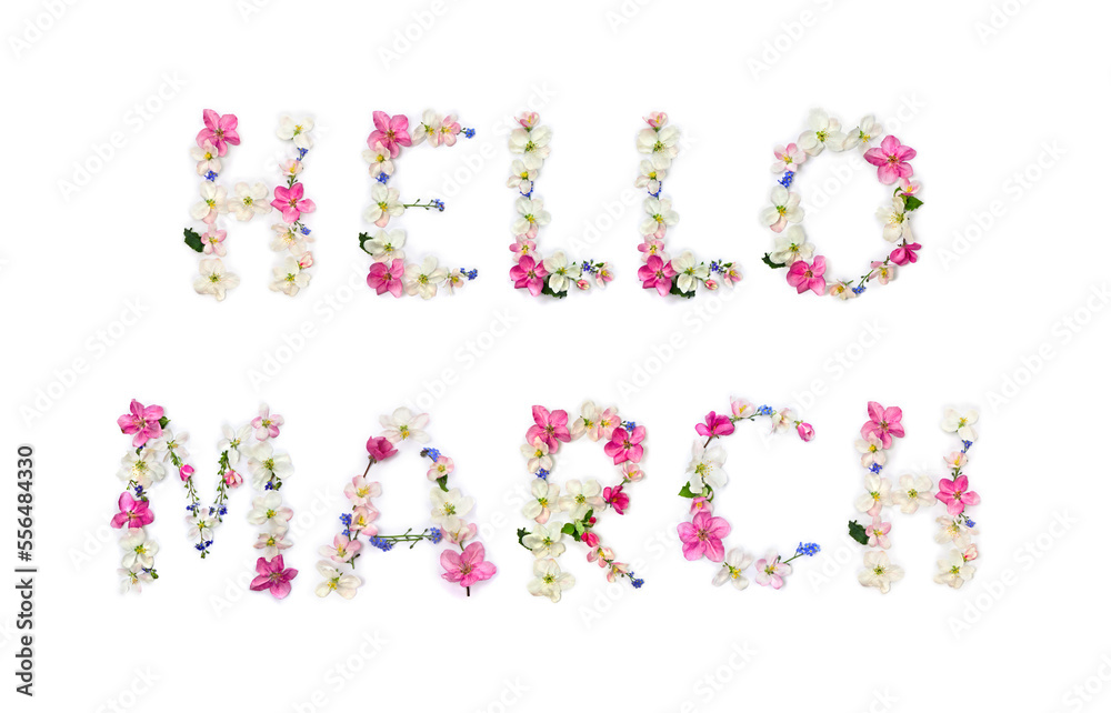Hello March lettering text from of flowers apple tree and blue wildflowers forget-me-nots on white background. Top view, flat lay Hello March lettering text from of flowers apple tree and blue wildflowers forget-me-nots on white background. Top view, flat lay