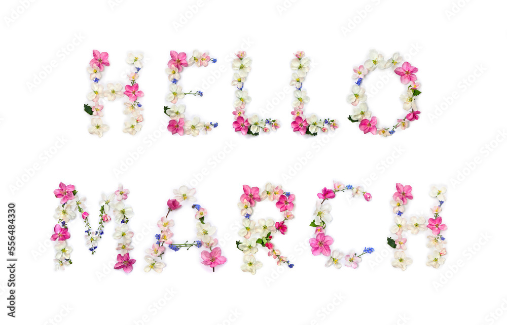 Hello March lettering text from of flowers apple tree and blue wildflowers forget-me-nots on white background. Top view, flat lay