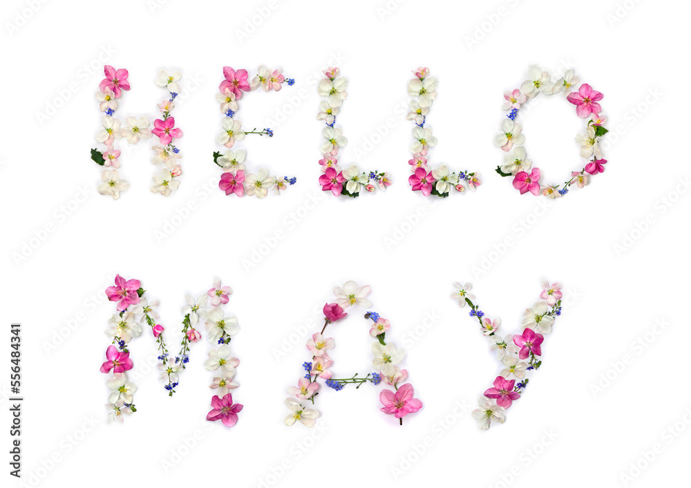 Hello May lettering text from of flowers apple tree and blue wildflowers forget-me-nots on white background. Top view, flat lay