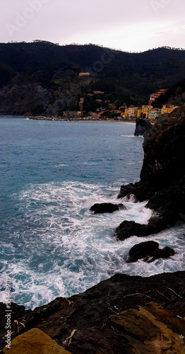 Beach in Cinque Terre