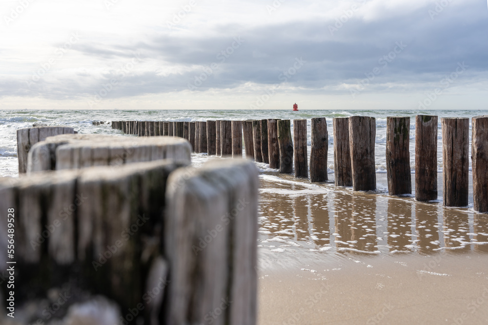 Wooden pillars on the beach in the Netherlands